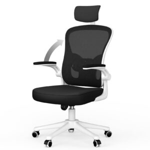 aspaluro Office Chair Desk Chair with Back Support