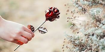 Wrought iron roses, hand forged. Two colours