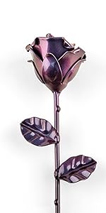Wrought iron rose. Chameleon collection