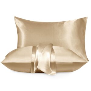Moonlight Bedding Satin Pillowcases 2 Pack - Champagne Silk Pillowcase for Hair and Skin Luxury Satin Pillowcases with Envelope Closure Satin Pillow Case Standard Hotel Quailty (50x75CM)