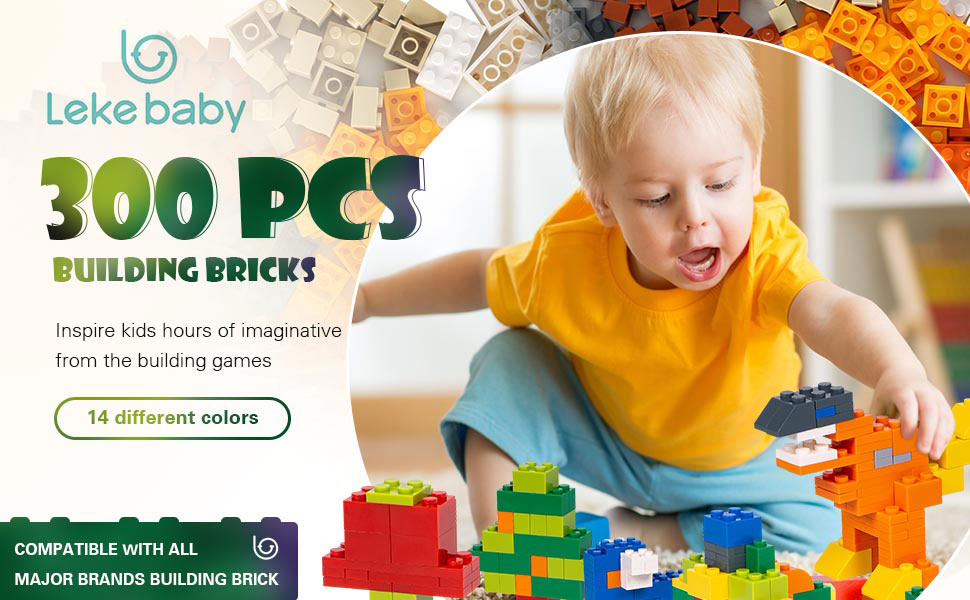Building Bricks