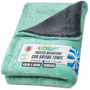 Towelogy X03 XL Microfibre Car Drying Cloth 1200 GSM Double Twist Pile Borderless - Premium Extra Large 40x60cm | Super Absorbent Auto Detailing Towel (Green/Grey)