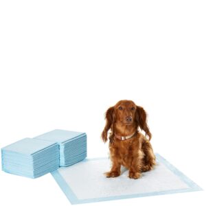 Amazon Basics Dog and Puppy Training Pads