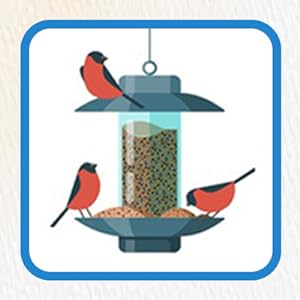 Sunflower Heart Seed