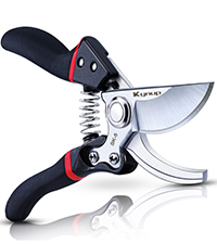 Pruner Shears with gloves