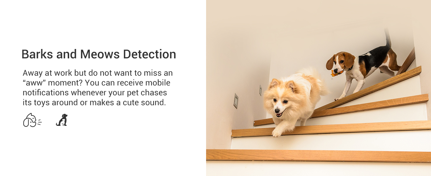 indoor wifi camera