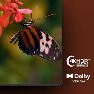 QLED TRU Picture Engine