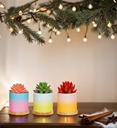 CHRISTMAS GIFTS FOR HER