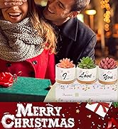 Christmas Ceramic Succulent Plant Pots Gifts for Her Girlfriend, 3 Pack Small Cactus Pot Secret S...