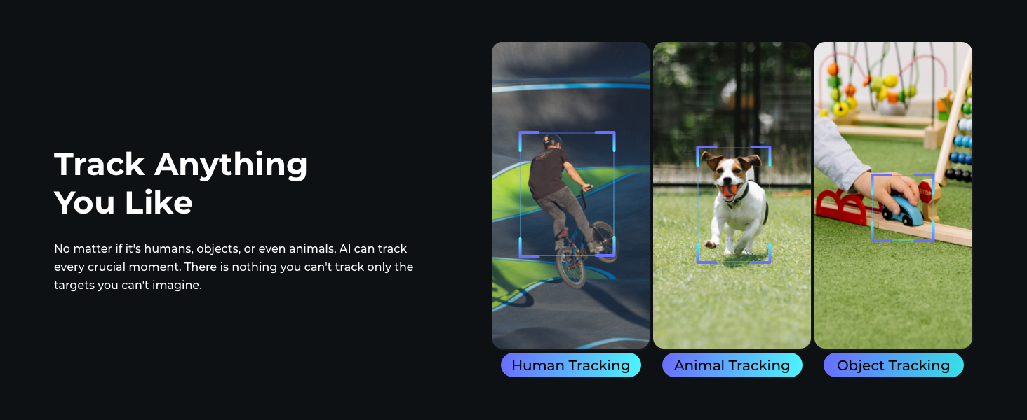 Tail Air AI StreamingCam