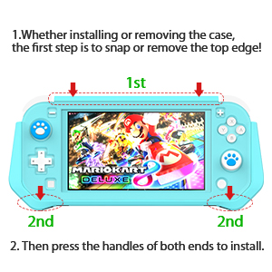 switch lite protection
