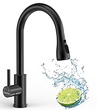 DAYONE Kitchen Sink Mixer Taps with Pull Down Sprayer