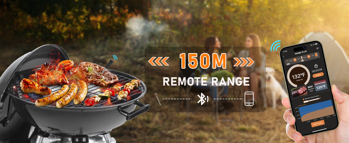 bbq thermometer wireless