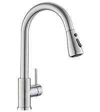 DAYONE Kitchen Mixer Tap with Pull Out Spray
