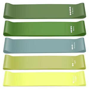 5 Exercise Bands Resistance Bands Set Elastic Bands Workout Loop Band of 5