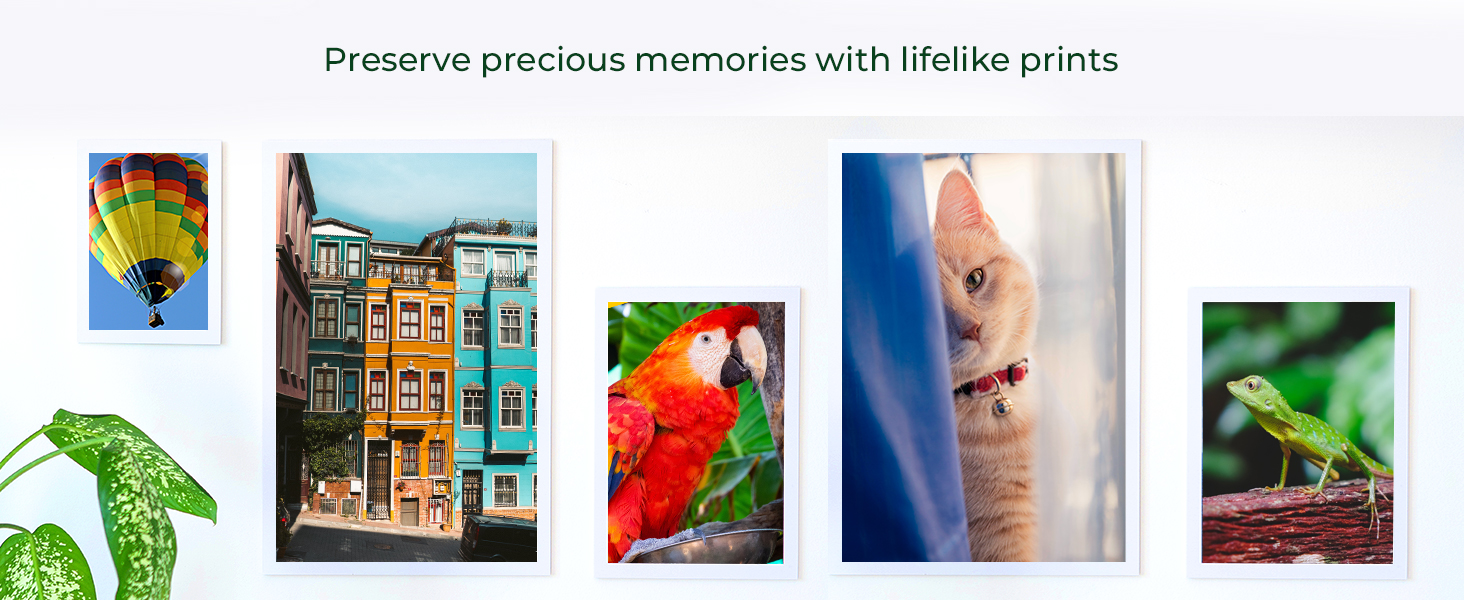 Preserve precious memories with lifelike prints