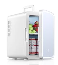10L mini fridge white
