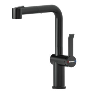 DAYONE Matte Black Kitchen Sink Taps with Pull Down Sprayer