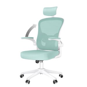 aspaluro Office Chair Desk Chair with Back Support
