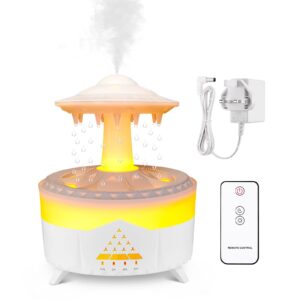 Wrischan 3 in 1 Rain Cloud Humidifier
