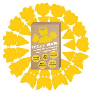 SNMIX Fruit Fly Trap