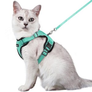 abbitgoo Cat Harness and Lead Set