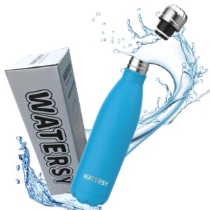 Stainless Steel Insulated Water Bottle