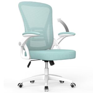 aspaluro Office Ergonomic Desk Chair with 90° Flip-up Armrest Lumbar Support