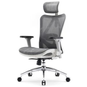 SIHOO Ergonomic Office Chair Mesh Desk Chair with Adjustable Lumbar Support 3D Armrests Breathable High Back Computer Chai