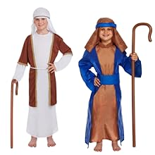 Girls Fancy Dress Costume