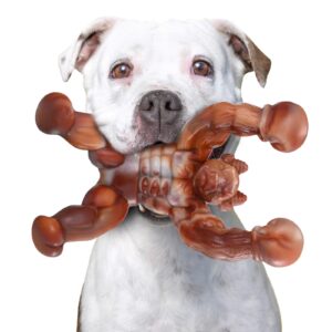 Zinbo Dog Toys for Aggressive Chewers
