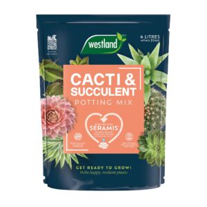 Westland Cacti Potting Mix 4L