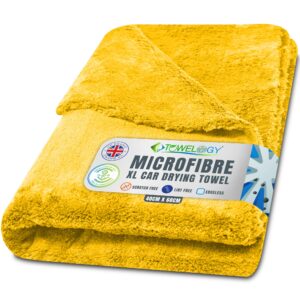 Towelogy X04 Large Car Drying Towel Microfibre Edgeless 550gsm Super Absorbent 60x40cm (24x16in) Lint Free Detailing Cloth (1