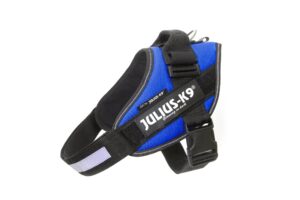 Julius-K9