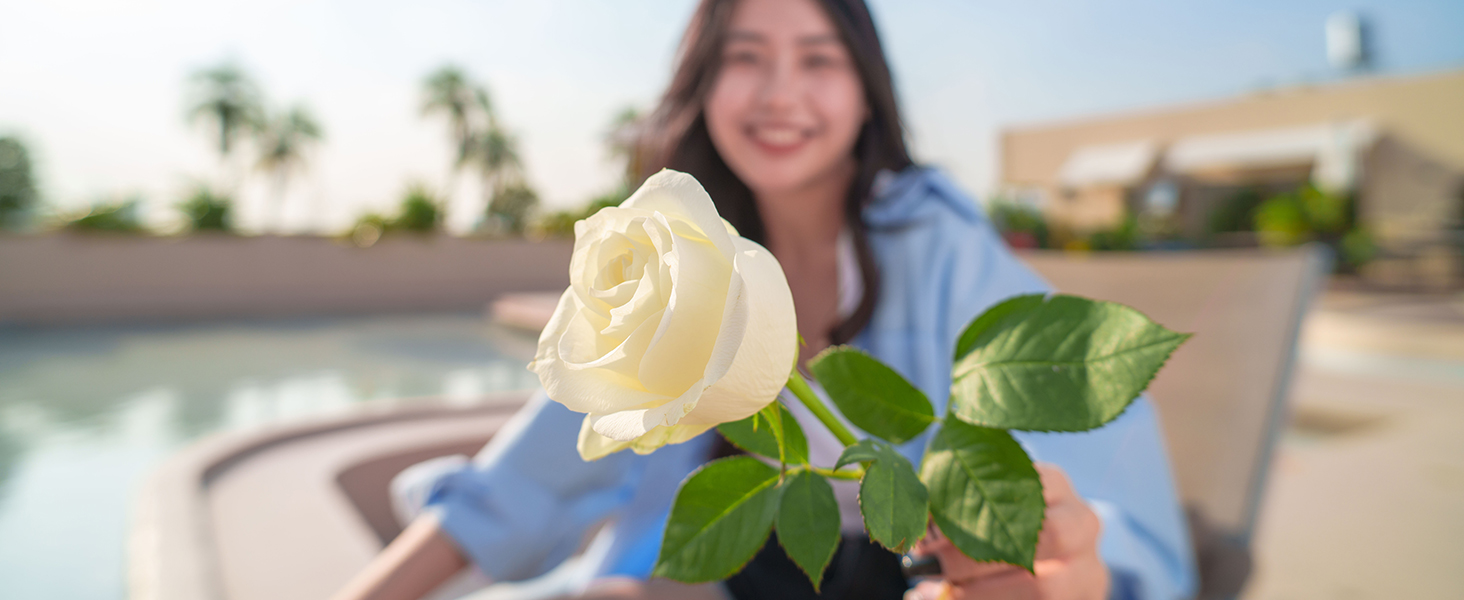 20mm f2.8 full frame for Sony E