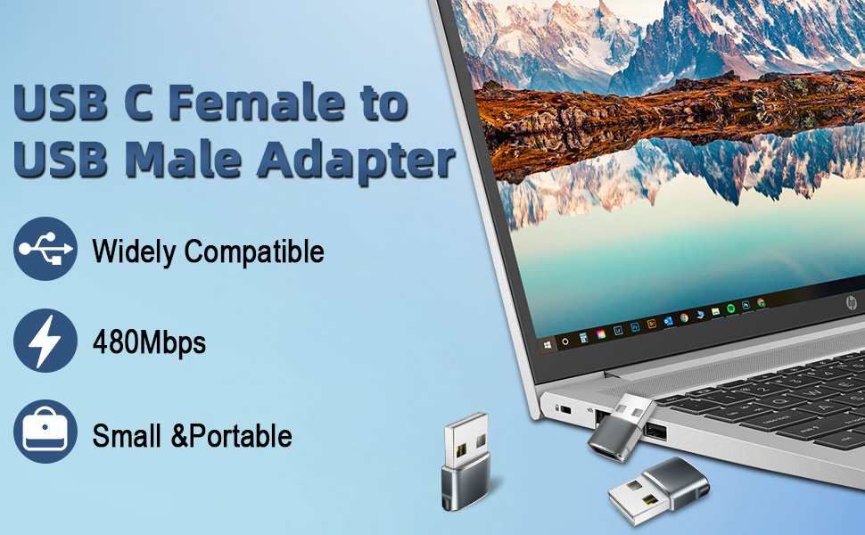 USB C Female to USB Male Adapter