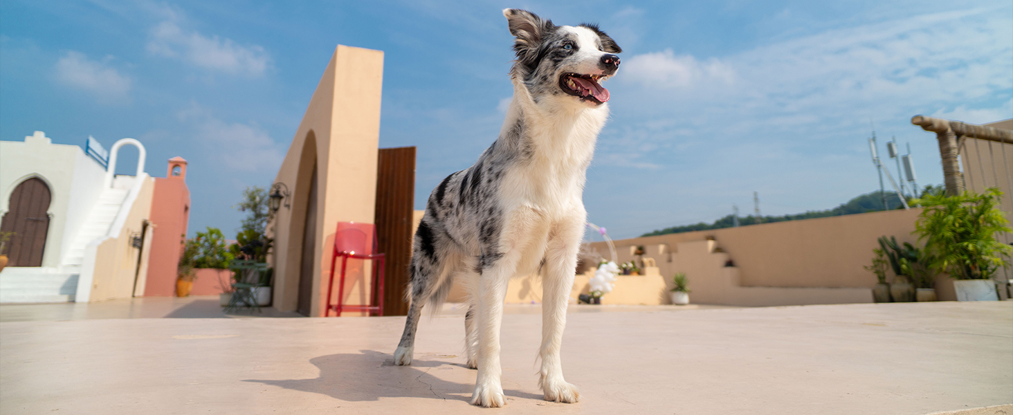 VILTROX 20mm f2.8 FE, 20mm f/2.8 e-Mount Full Frame AF Lens