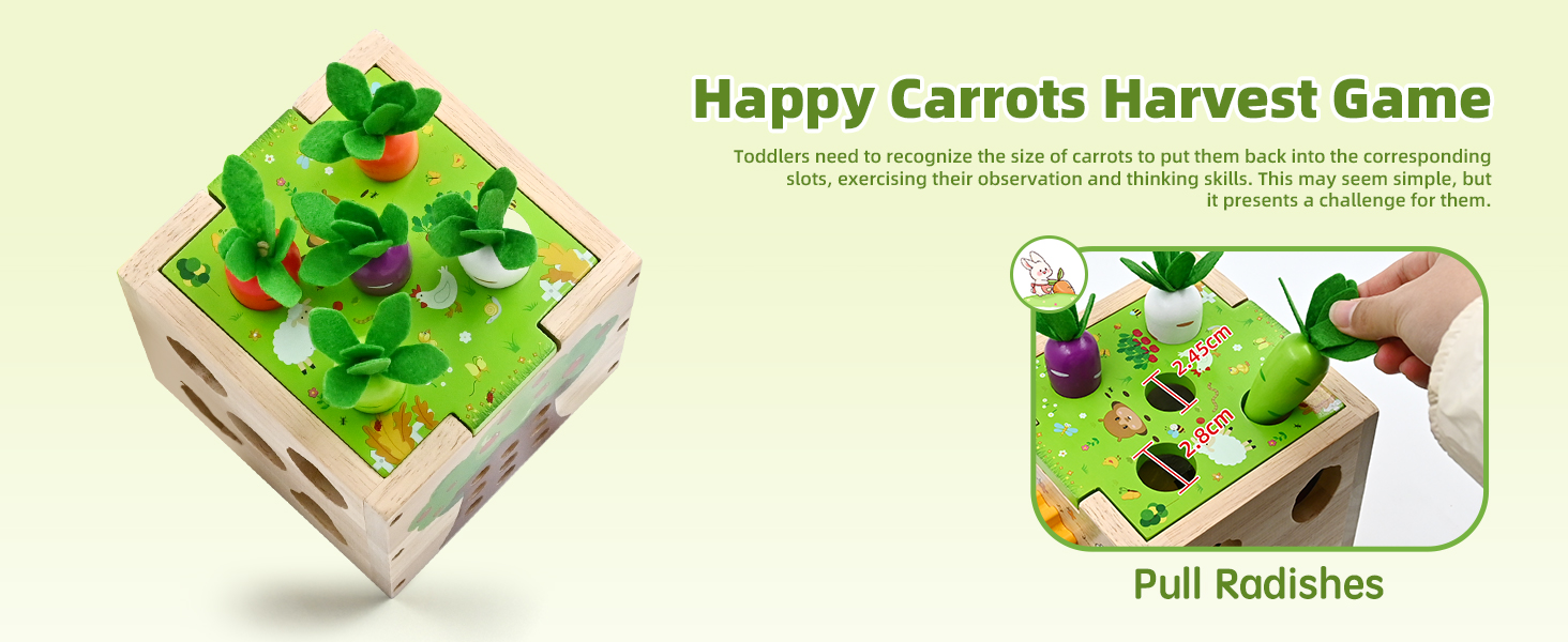 Carrot Harvest Games