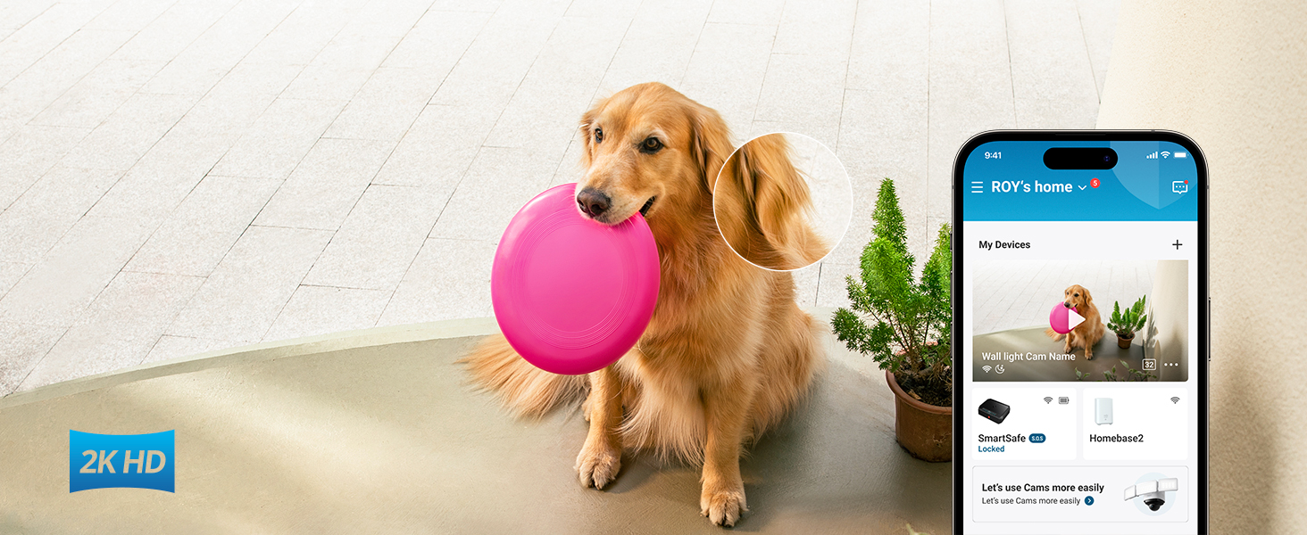 Capture Every Detail