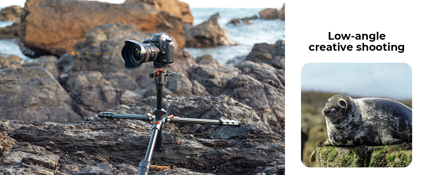 aluminum tripod