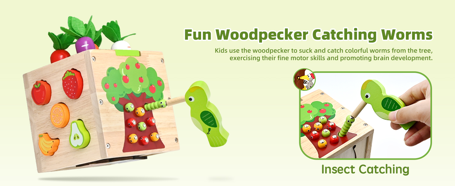Woodpecker Catches Worms Toys