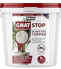 Gnat Stop Bucket