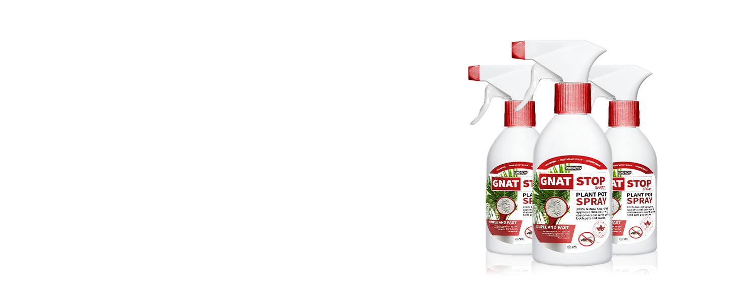 Gnat Stop Spray