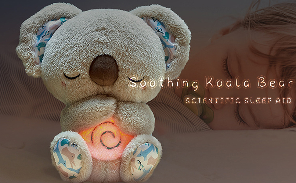 Soothing Koala Bear