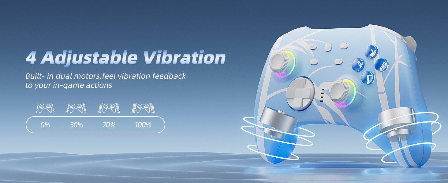 switch controller anime