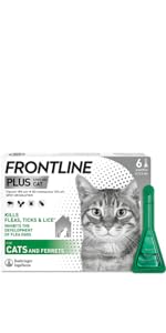 Frontline Cat