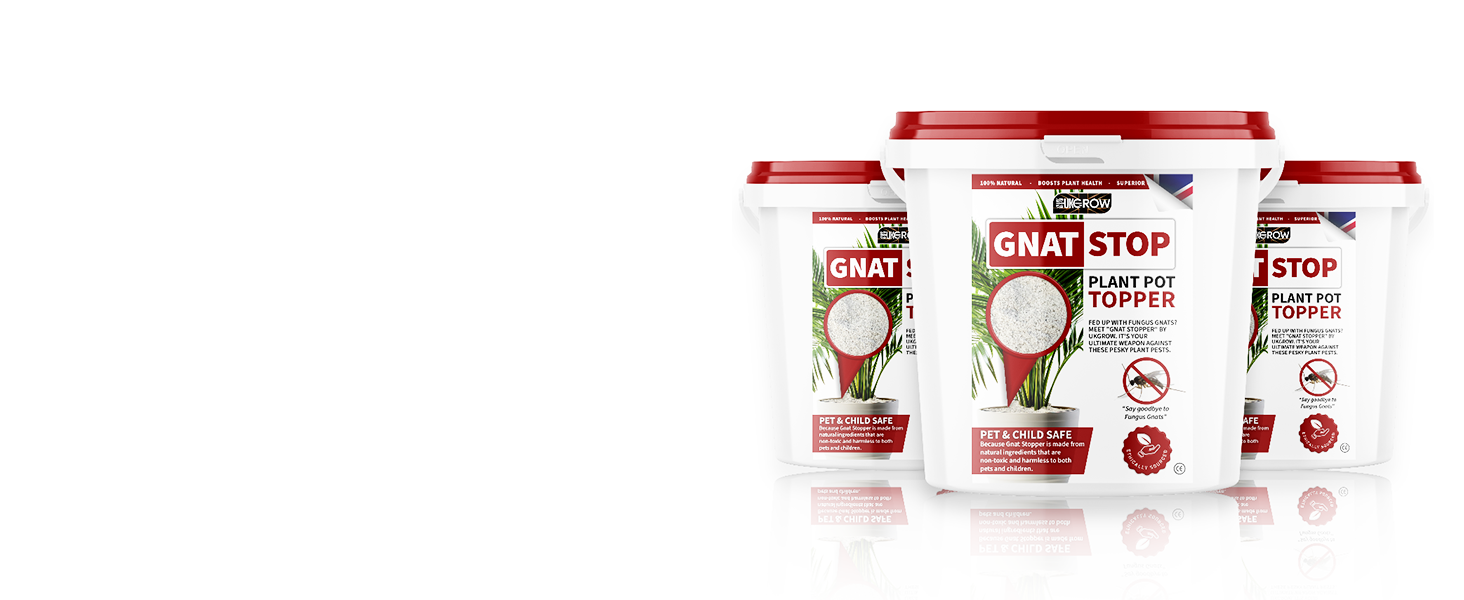 Gnat Stop Buckets