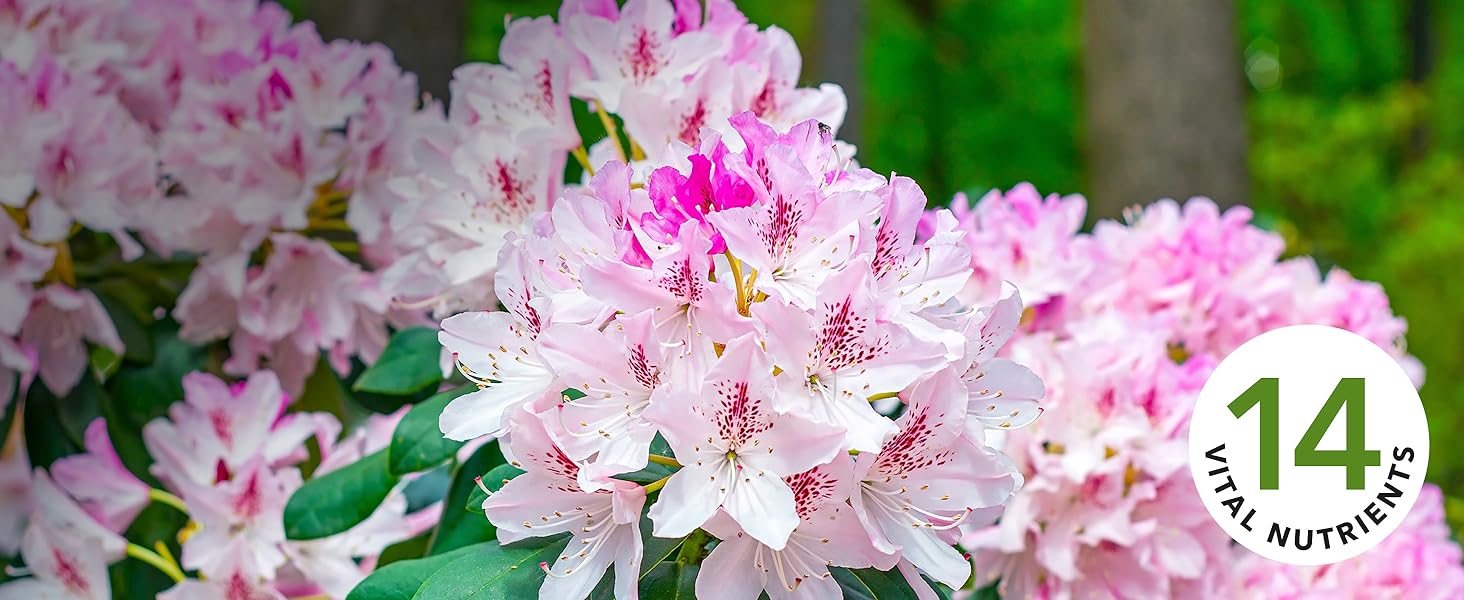14 Vital Nutrients