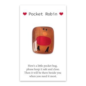 Pocket Hug Robin with Card