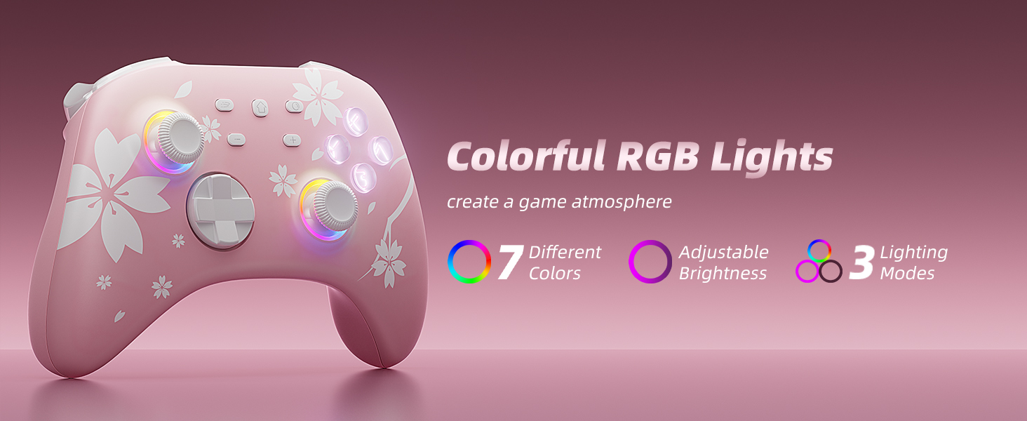 Switch Pro Controller Wireless